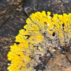 Unverified at suppressed - suppressed