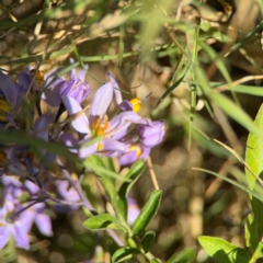 Unverified at suppressed - suppressed