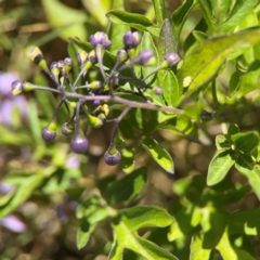 Unverified at suppressed - suppressed