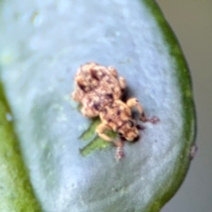 Unverified at suppressed - suppressed