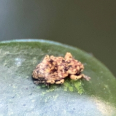 Unverified at suppressed - suppressed