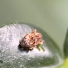 Unverified at suppressed - suppressed