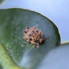 Unverified at suppressed - suppressed