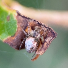 Unverified at suppressed - suppressed