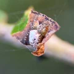 Unverified at suppressed - suppressed