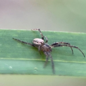 Unidentified at suppressed - 3 Aug 2024