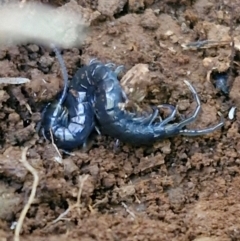 Unverified at suppressed - suppressed