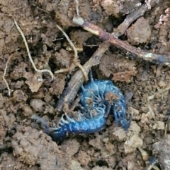 Unverified at suppressed - suppressed