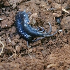 Unverified at suppressed - suppressed