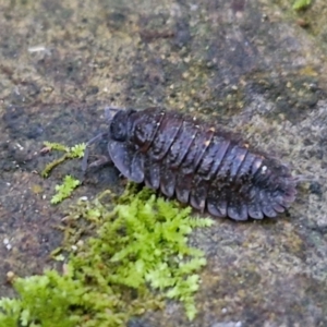 Unverified at suppressed - suppressed