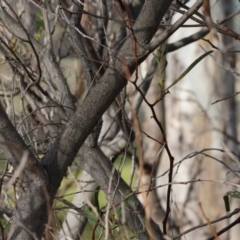 Unverified at suppressed - suppressed