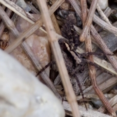 Unverified at suppressed - suppressed