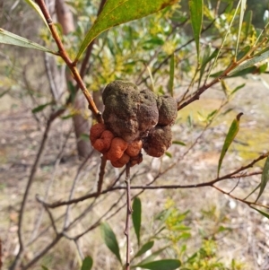 Unidentified at suppressed - 1 Aug 2024