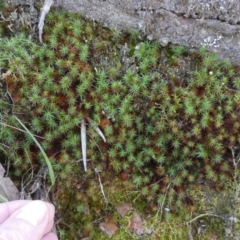 Unverified at suppressed - suppressed