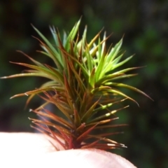 Unverified at suppressed - suppressed