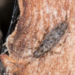 Unverified at suppressed - suppressed