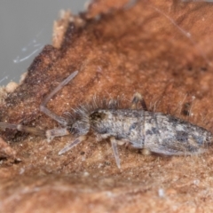 Unverified at suppressed - suppressed