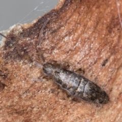 Unverified at suppressed - suppressed