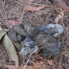 Unverified at suppressed - suppressed