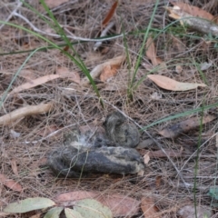 Unverified at suppressed - suppressed