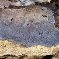 Unverified at suppressed - suppressed