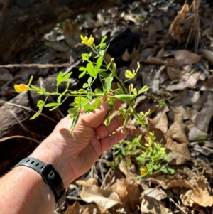 Unidentified at suppressed - 17 Aug 2024