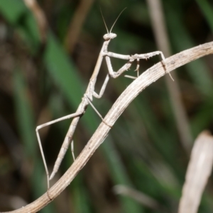 Unidentified at suppressed - 1 Jul 2024