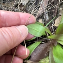 Unidentified at suppressed - 22 Aug 2024