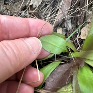 Unidentified at suppressed - 22 Aug 2024