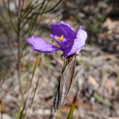 Unidentified at suppressed - 21 Aug 2024