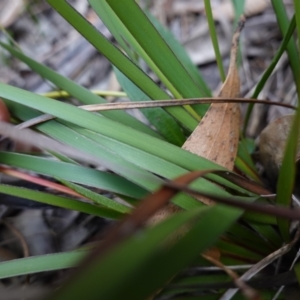 Unidentified at suppressed - 21 Aug 2024