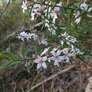 Unidentified at suppressed - 21 Aug 2024