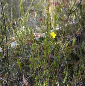 Unidentified at suppressed - 21 Aug 2024