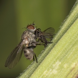 Unidentified at suppressed - 25 Aug 2024