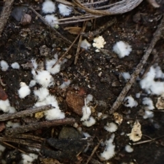 Unverified at suppressed - suppressed