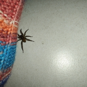 Unverified at suppressed - suppressed