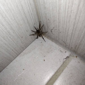 Unverified at suppressed - suppressed