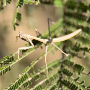 Unidentified at suppressed - 31 Aug 2024