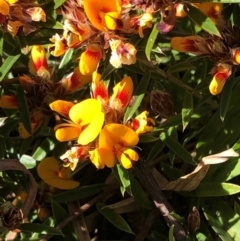 Unverified at suppressed - suppressed