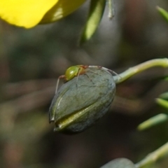 Unverified at suppressed - suppressed