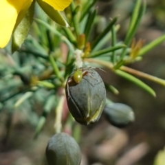 Unverified at suppressed - suppressed