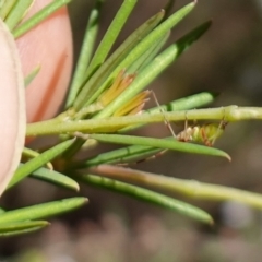 Unverified at suppressed - suppressed