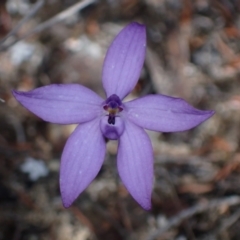 Unidentified at suppressed - 21 Aug 2024