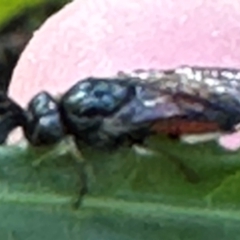 Unverified at suppressed - suppressed