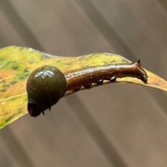 Unverified at suppressed - suppressed