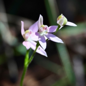 Unidentified at suppressed - 6 Sep 2024