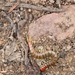 Unverified at suppressed - suppressed