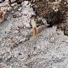 Unverified at suppressed - suppressed