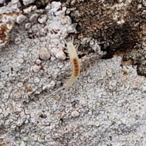 Unverified at suppressed - suppressed