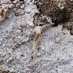 Unverified at suppressed - suppressed